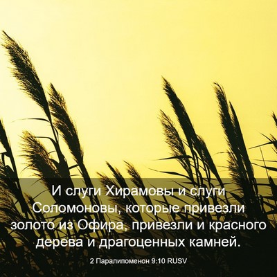 Picture 03 - 2 Паралипоменон 9:10 RUSV - И слуги Хирамовы и слуги - Bible Verse Picture