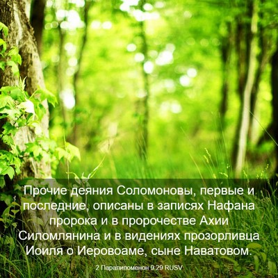 Picture 03 - 2 Паралипоменон 9:29 RUSV - Прочие деяния Соломоновы, - Bible Verse Picture
