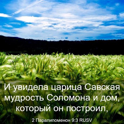 Picture 03 - 2 Паралипоменон 9:3 RUSV - И увидела царица Савская - Bible Verse Picture
