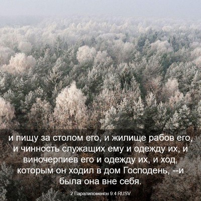Picture 03 - 2 Паралипоменон 9:4 RUSV - и пищу за столом его, и - Bible Verse Picture