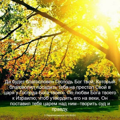 Picture 03 - 2 Паралипоменон 9:8 RUSV - Да будет благословен - Bible Verse Picture