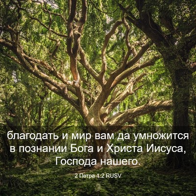 Picture 03 - 2 Петра 1:2 RUSV - благодать и мир вам да - Bible Verse Picture