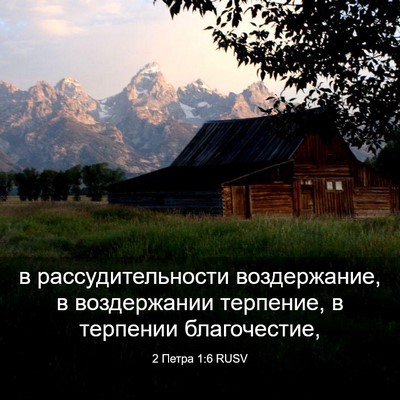 Picture 03 - 2 Петра 1:6 RUSV - в рассудительности - Bible Verse Picture