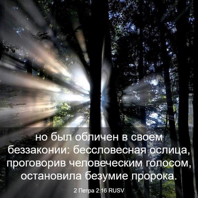 Picture 03 - 2 Петра 2:16 RUSV - но был обличен в своем - Bible Verse Picture