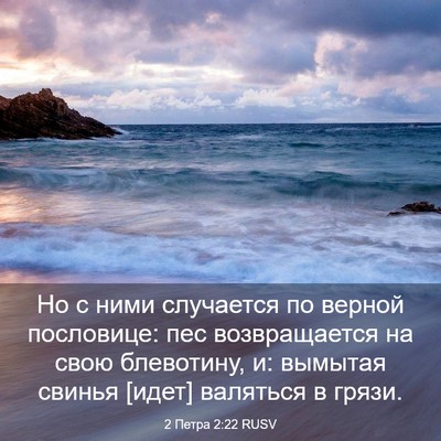 Picture 03 - 2 Петра 2:22 RUSV - Но с ними случается по - Bible Verse Picture