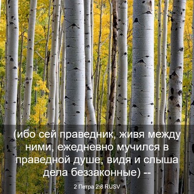 Picture 03 - 2 Петра 2:8 RUSV - (ибо сей праведник, живя - Bible Verse Picture