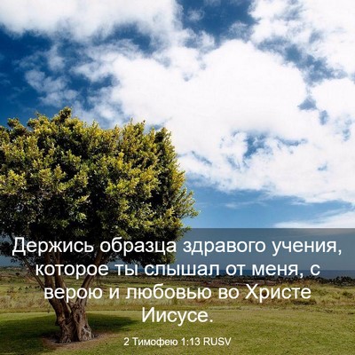 Picture 03 - 2 Тимофею 1:13 RUSV - Держись образца здравого - Bible Verse Picture