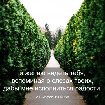 Picture 03 - 2 Тимофею 1:4 RUSV - и желаю видеть тебя, - Bible Verse Picture