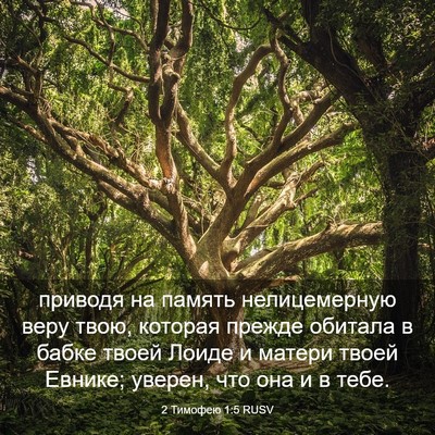 Picture 03 - 2 Тимофею 1:5 RUSV - приводя на память - Bible Verse Picture