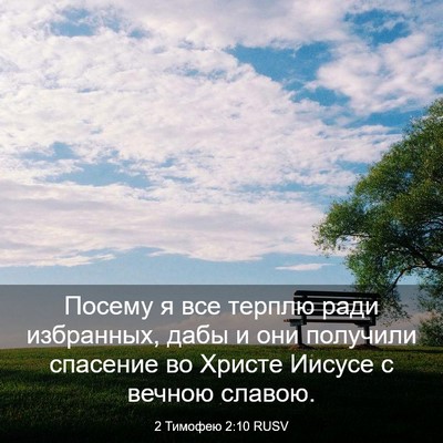 Picture 03 - 2 Тимофею 2:10 RUSV - Посему я все терплю ради - Bible Verse Picture
