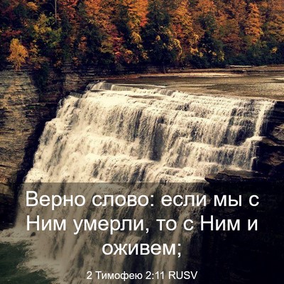 Picture 03 - 2 Тимофею 2:11 RUSV - Верно слово: если мы с Ним - Bible Verse Picture
