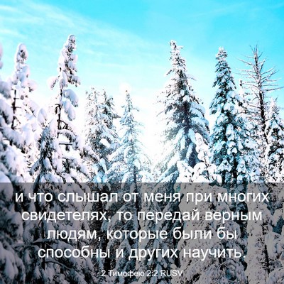 Picture 03 - 2 Тимофею 2:2 RUSV - и что слышал от меня при - Bible Verse Picture