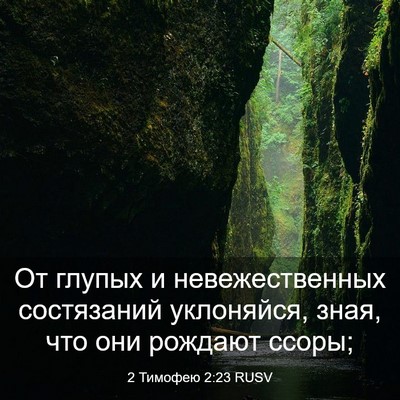 Picture 03 - 2 Тимофею 2:23 RUSV - От глупых и невежественных - Bible Verse Picture