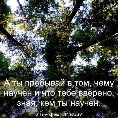 Picture 03 - 2 Тимофею 3:14 RUSV - А ты пребывай в том, чему - Bible Verse Picture