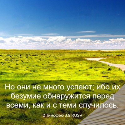 Picture 03 - 2 Тимофею 3:9 RUSV - Но они не много успеют; ибо - Bible Verse Picture