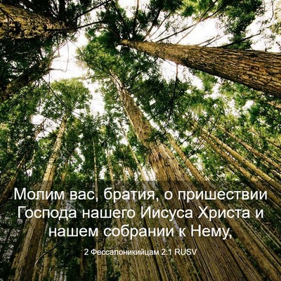 Picture 03 - 2 Фессалоникийцам 2:1 RUSV - Молим вас, братия, о - Bible Verse Picture