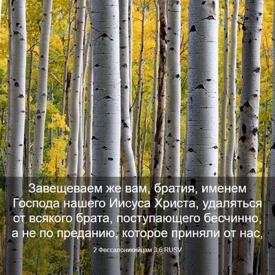 Picture 03 - 2 Фессалоникийцам 3:6 RUSV - Завещеваем же вам, братия, - Bible Verse Picture