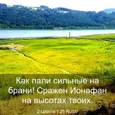 Picture 03 - 2 Царств 1:25 RUSV - Как пали сильные на брани! - Bible Verse Picture