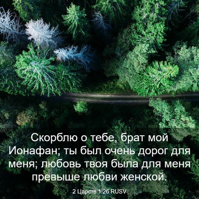 Picture 03 - 2 Царств 1:26 RUSV - Скорблю о тебе, брат мой - Bible Verse Picture