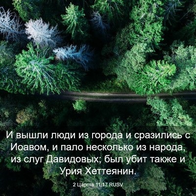 Picture 03 - 2 Царств 11:17 RUSV - И вышли люди из города и - Bible Verse Picture