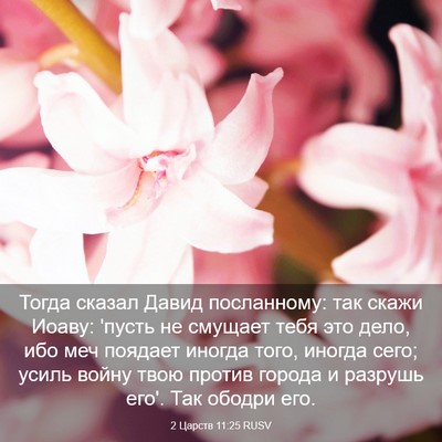 Picture 03 - 2 Царств 11:25 RUSV - Тогда сказал Давид - Bible Verse Picture