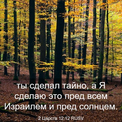 Picture 03 - 2 Царств 12:12 RUSV - ты сделал тайно, а Я сделаю - Bible Verse Picture