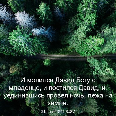 Picture 03 - 2 Царств 12:16 RUSV - И молился Давид Богу о - Bible Verse Picture