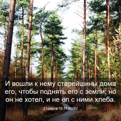 Picture 03 - 2 Царств 12:17 RUSV - И вошли к нему старейшины - Bible Verse Picture