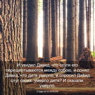 Picture 03 - 2 Царств 12:19 RUSV - И увидел Давид, что слуги - Bible Verse Picture
