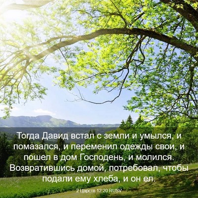 Picture 03 - 2 Царств 12:20 RUSV - Тогда Давид встал с земли и - Bible Verse Picture