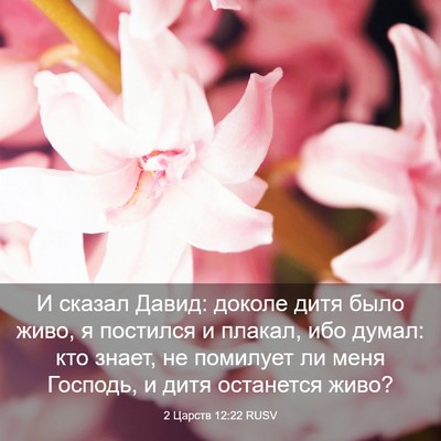 Picture 03 - 2 Царств 12:22 RUSV - И сказал Давид: доколе дитя - Bible Verse Picture