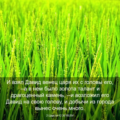 Picture 03 - 2 Царств 12:30 RUSV - И взял Давид венец царя их - Bible Verse Picture