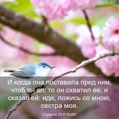 Picture 03 - 2 Царств 13:11 RUSV - И когда она поставила пред - Bible Verse Picture