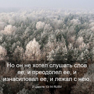 Picture 03 - 2 Царств 13:14 RUSV - Но он не хотел слушать слов - Bible Verse Picture