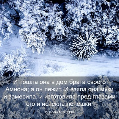 Picture 03 - 2 Царств 13:8 RUSV - И пошла она в дом брата - Bible Verse Picture