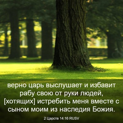 Picture 03 - 2 Царств 14:16 RUSV - верно царь выслушает и - Bible Verse Picture