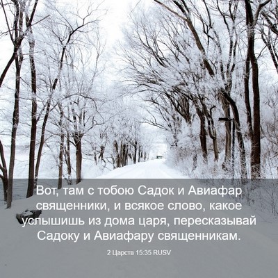 Picture 03 - 2 Царств 15:35 RUSV - Вот, там с тобою Садок и - Bible Verse Picture