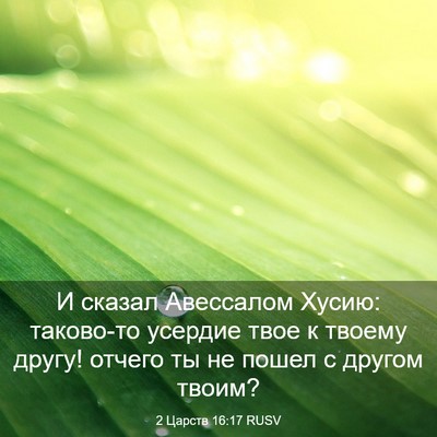 Picture 03 - 2 Царств 16:17 RUSV - И сказал Авессалом Хусию: - Bible Verse Picture