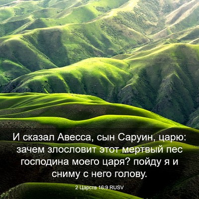 Picture 03 - 2 Царств 16:9 RUSV - И сказал Авесса, сын - Bible Verse Picture