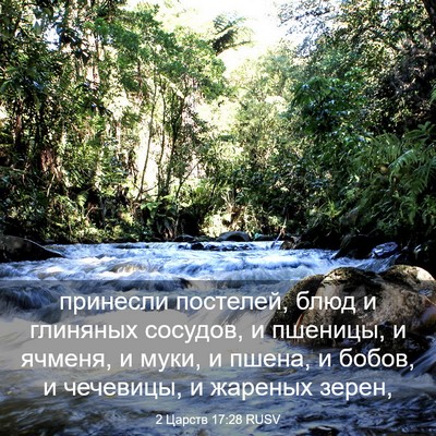 Picture 03 - 2 Царств 17:28 RUSV - принесли постелей, блюд и - Bible Verse Picture