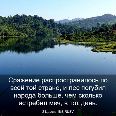 Picture 03 - 2 Царств 18:8 RUSV - Сражение распространилось - Bible Verse Picture