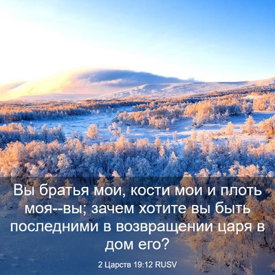 Picture 03 - 2 Царств 19:12 RUSV - Вы братья мои, кости мои и - Bible Verse Picture