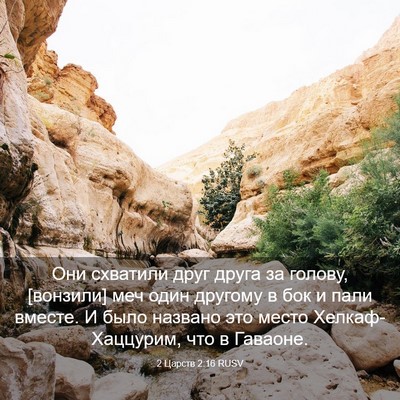 Picture 03 - 2 Царств 2:16 RUSV - Они схватили друг друга за - Bible Verse Picture
