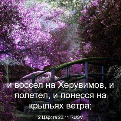 Picture 03 - 2 Царств 22:11 RUSV - и воссел на Херувимов, и - Bible Verse Picture