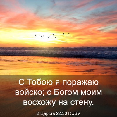 Picture 03 - 2 Царств 22:30 RUSV - С Тобою я поражаю войско; с - Bible Verse Picture