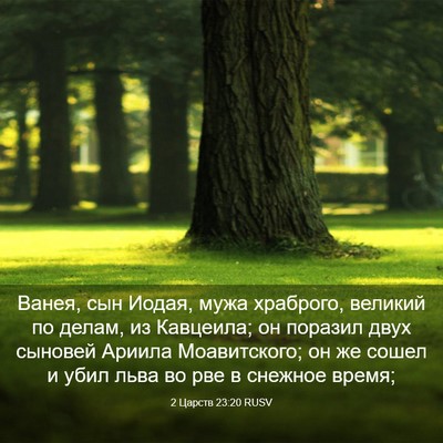 Picture 03 - 2 Царств 23:20 RUSV - Ванея, сын Иодая, мужа - Bible Verse Picture