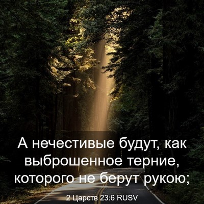 Picture 03 - 2 Царств 23:6 RUSV - А нечестивые будут, как - Bible Verse Picture
