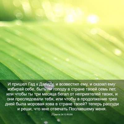 Picture 03 - 2 Царств 24:13 RUSV - И пришел Гад к Давиду, и - Bible Verse Picture