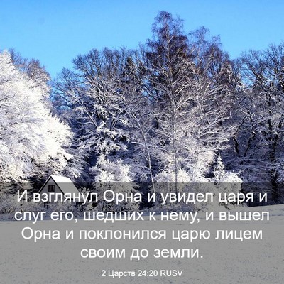 Picture 03 - 2 Царств 24:20 RUSV - И взглянул Орна и увидел - Bible Verse Picture