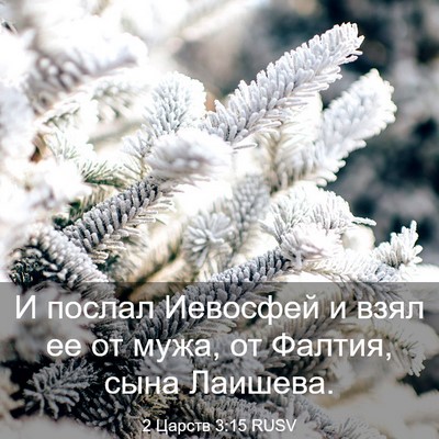 Picture 03 - 2 Царств 3:15 RUSV - И послал Иевосфей и взял ее - Bible Verse Picture